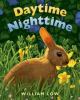 Book Jacket for: Daytime nighttime