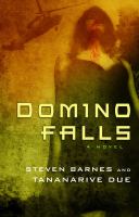Book Jacket for: Domino Falls : a novel